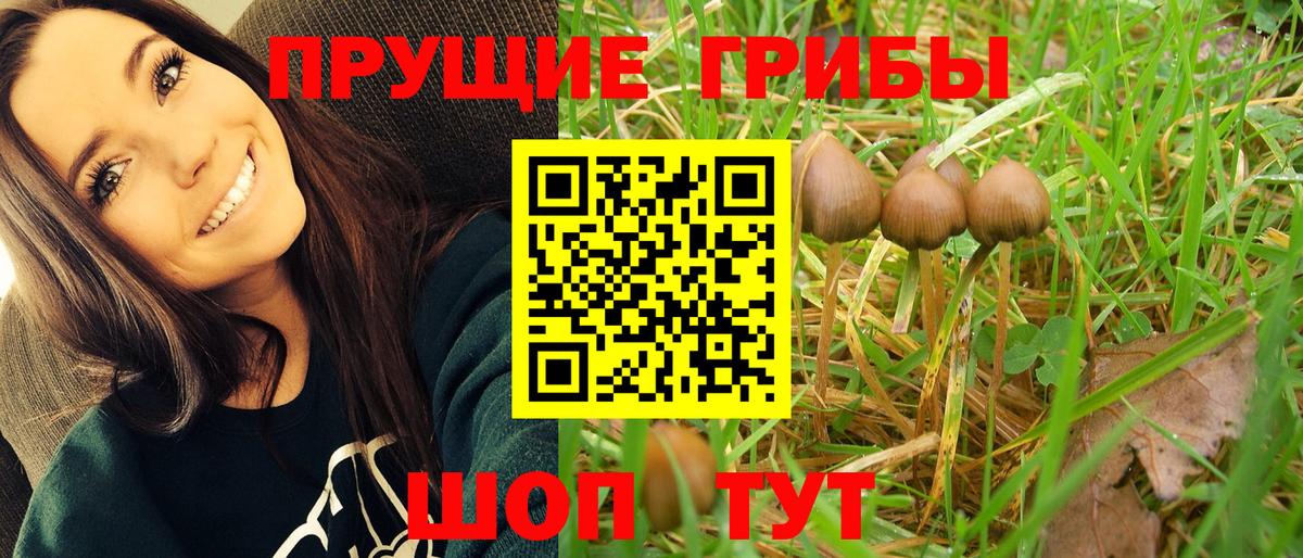 Невинномысск  Галлюциногенные грибы мицелий  Вход с VPN 